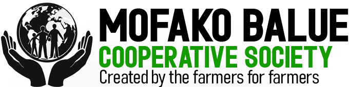 Mofako Balue Cooperative SocietyHome
